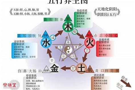 木和水 五行|五行